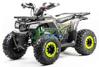 motoland wild 125