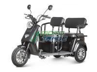 пассажирский электрический трицикл rutrike топик