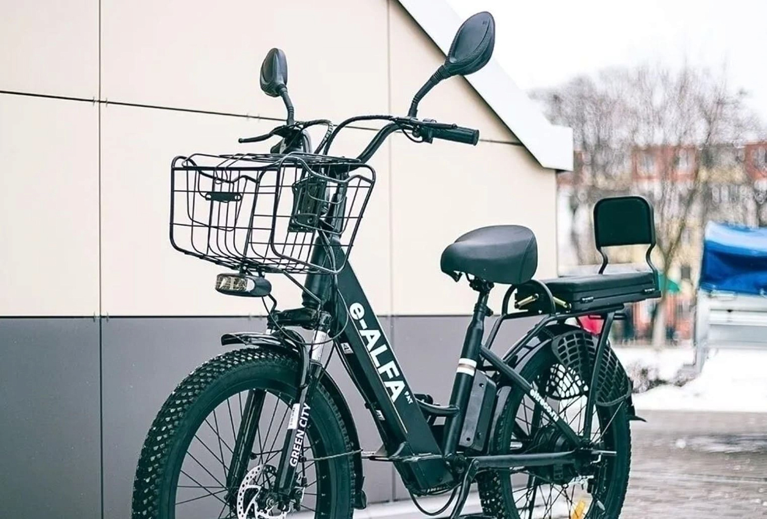 Электровелосипед Green City e-ALFA Fat