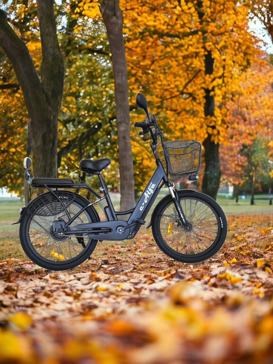 Электровелосипед E-Alfa 24" 48V